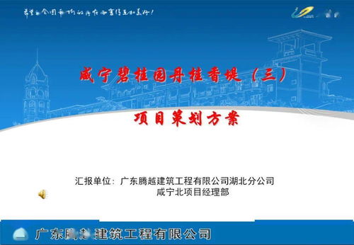旅游開(kāi)發(fā)項(xiàng)目策劃咨詢與執(zhí)行指南